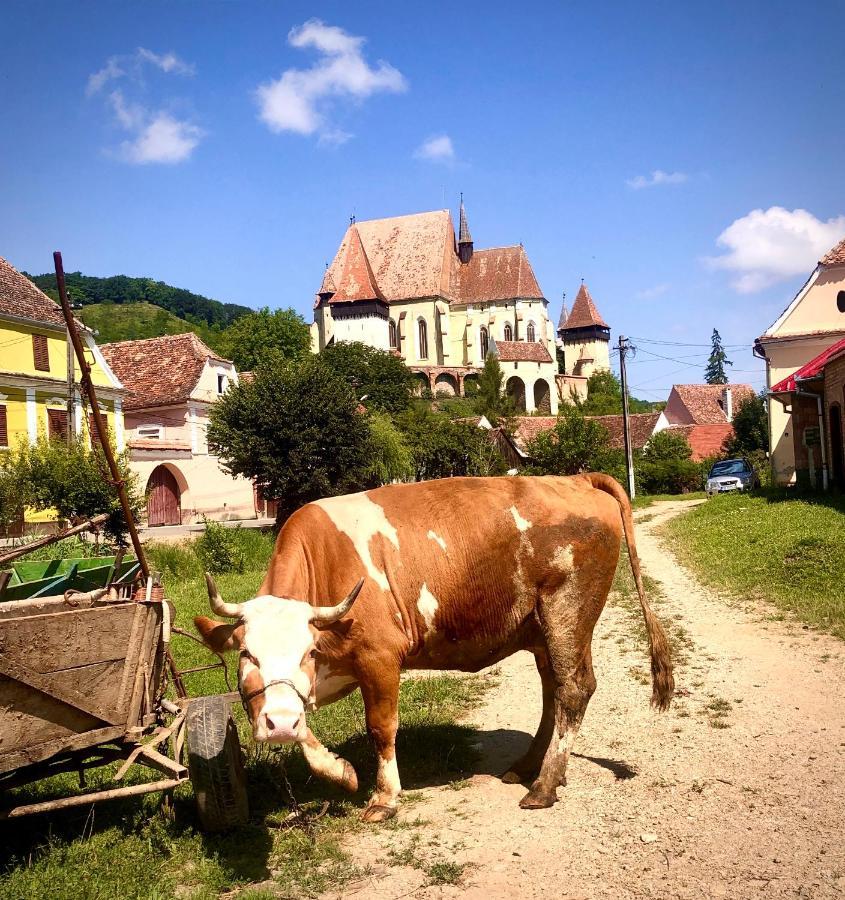 Casa Eva Wagner - Biertan Hotel ภายนอก รูปภาพ