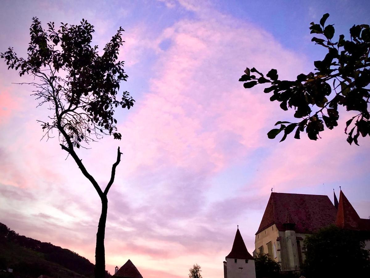 Casa Eva Wagner - Biertan Hotel ภายนอก รูปภาพ