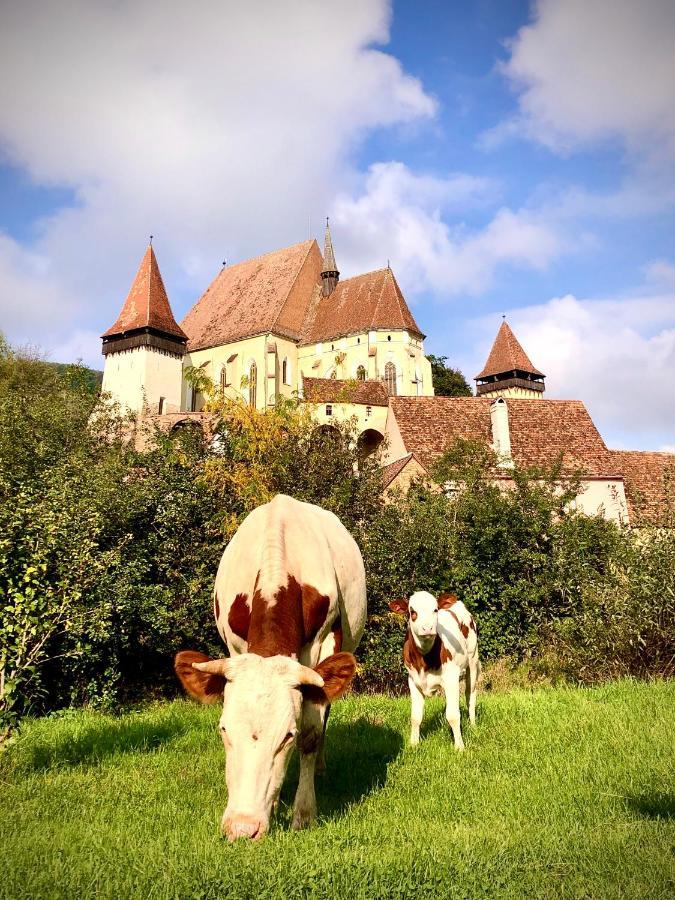 Casa Eva Wagner - Biertan Hotel ภายนอก รูปภาพ