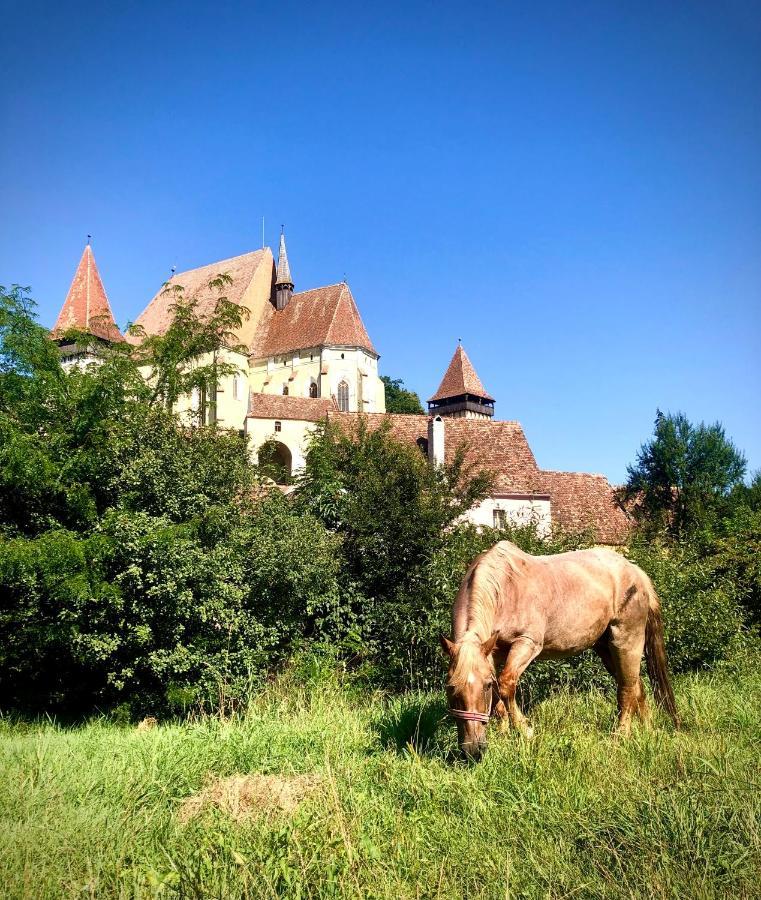 Casa Eva Wagner - Biertan Hotel ภายนอก รูปภาพ